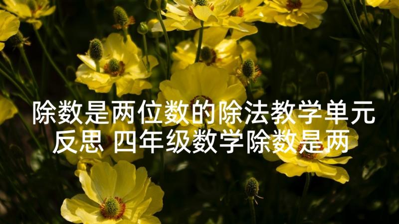 除数是两位数的除法教学单元反思 四年级数学除数是两位数的除法教学反思(汇总5篇)