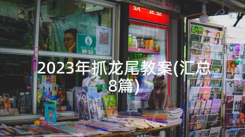 2023年抓龙尾教案(汇总8篇)