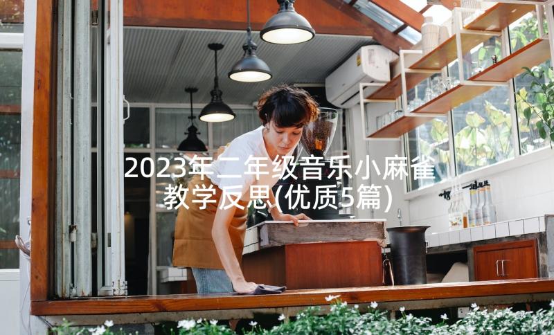 2023年二年级音乐小麻雀教学反思(优质5篇)