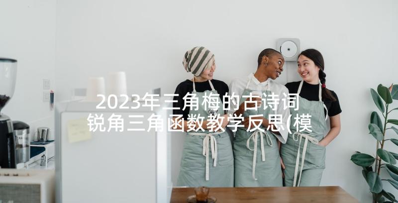 2023年三角梅的古诗词 锐角三角函数教学反思(模板5篇)