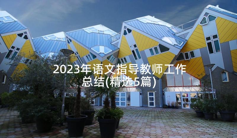 2023年语文指导教师工作总结(精选5篇)