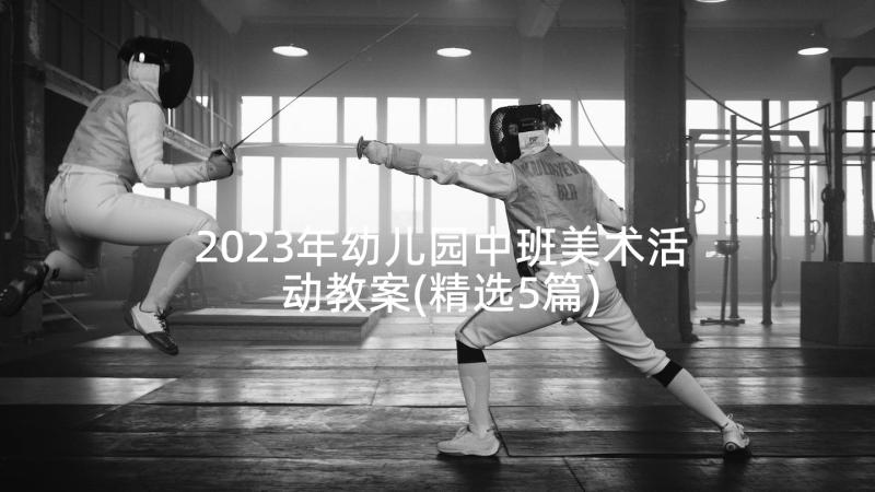 2023年幼儿园中班美术活动教案(精选5篇)