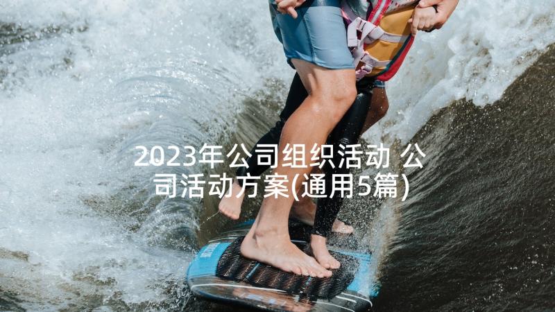 2023年公司组织活动 公司活动方案(通用5篇)