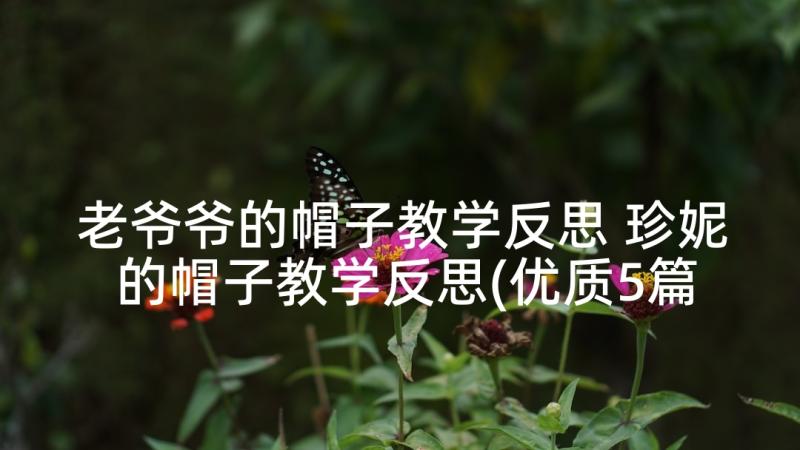 老爷爷的帽子教学反思 珍妮的帽子教学反思(优质5篇)