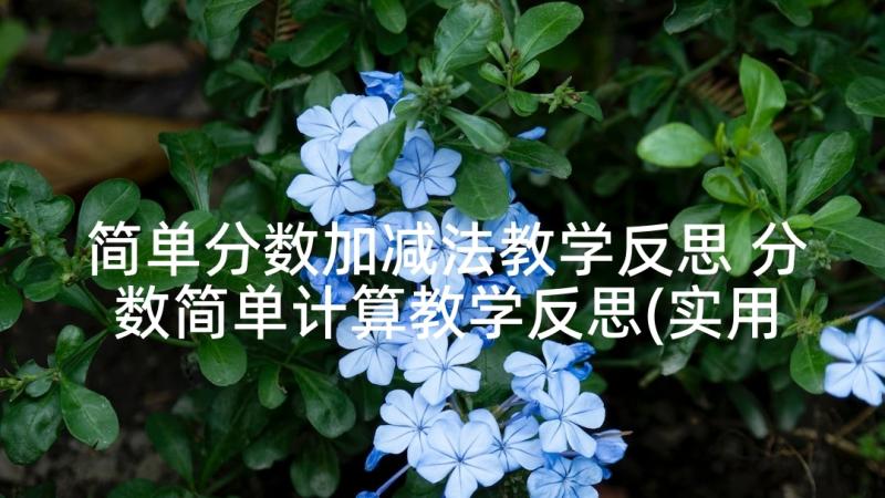 简单分数加减法教学反思 分数简单计算教学反思(实用9篇)