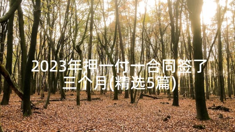 2023年押一付一合同签了三个月(精选5篇)