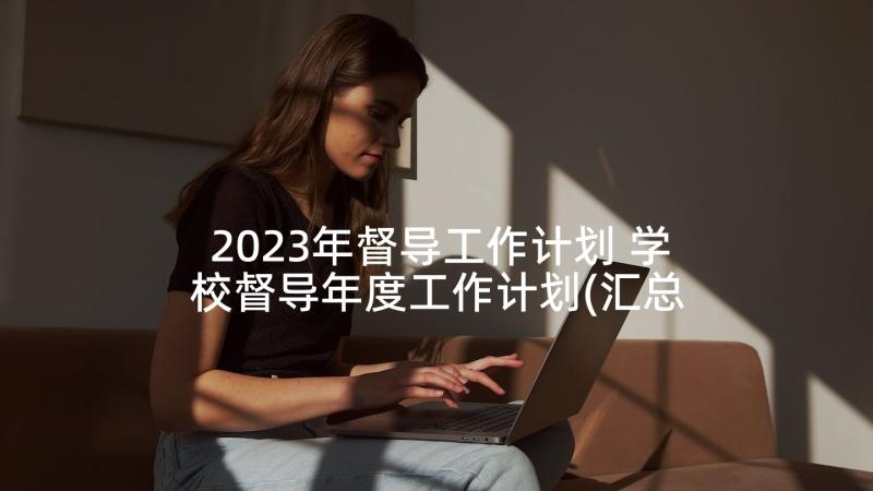 2023年督导工作计划 学校督导年度工作计划(汇总5篇)