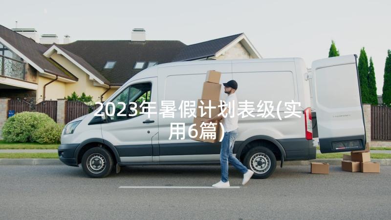 2023年暑假计划表级(实用6篇)