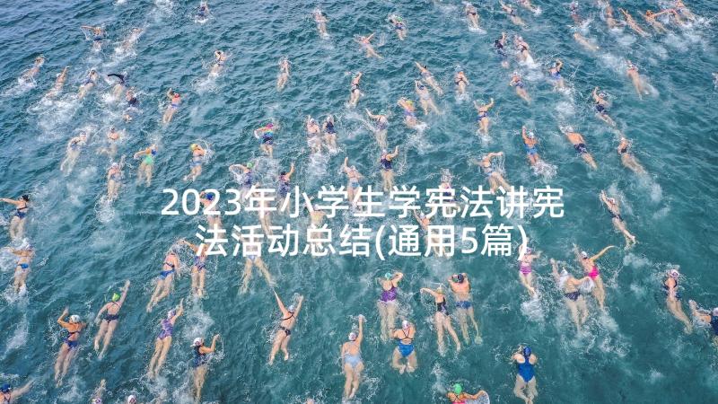 2023年小学生学宪法讲宪法活动总结(通用5篇)