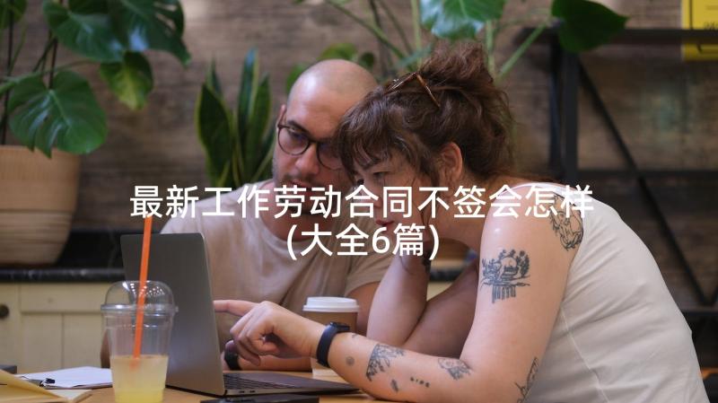 最新工作劳动合同不签会怎样(大全6篇)