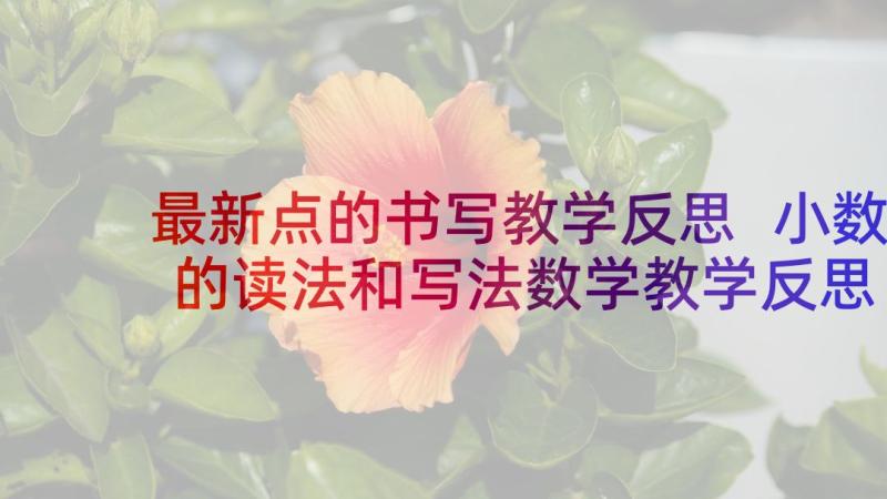 最新点的书写教学反思 小数的读法和写法数学教学反思(汇总5篇)