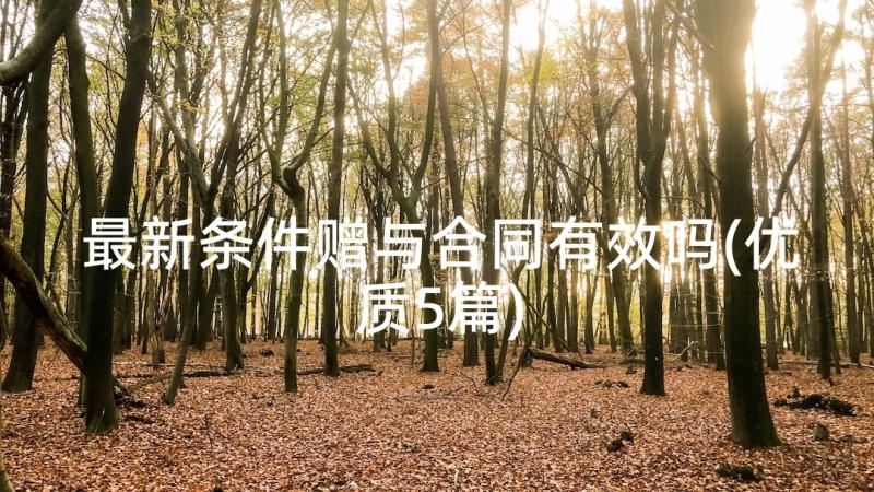 最新条件赠与合同有效吗(优质5篇)