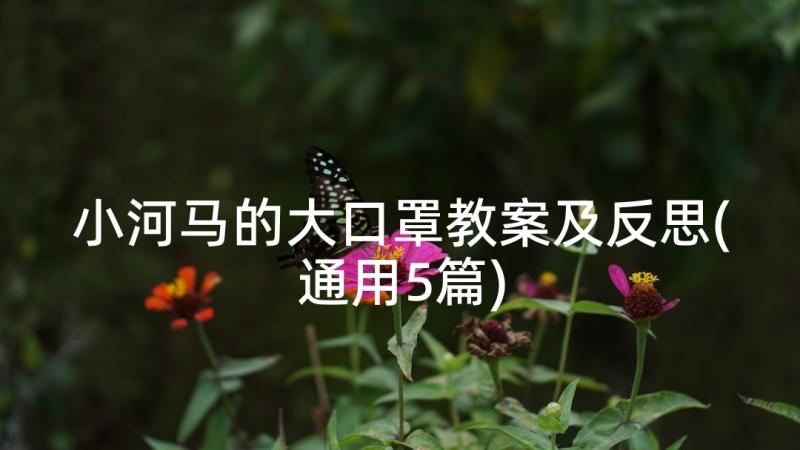 小河马的大口罩教案及反思(通用5篇)