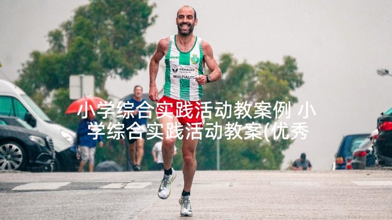 小学综合实践活动教案例 小学综合实践活动教案(优秀5篇)