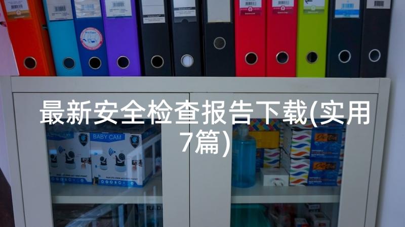 最新安全检查报告下载(实用7篇)