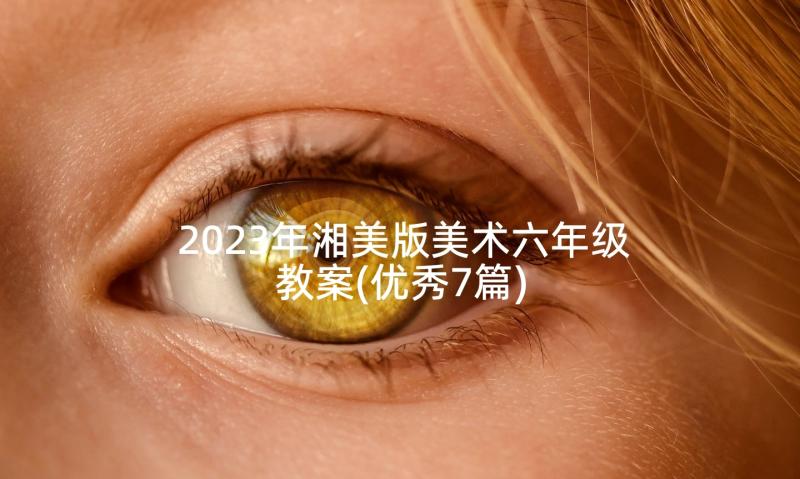 2023年湘美版美术六年级教案(优秀7篇)