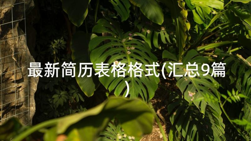 最新简历表格格式(汇总9篇)