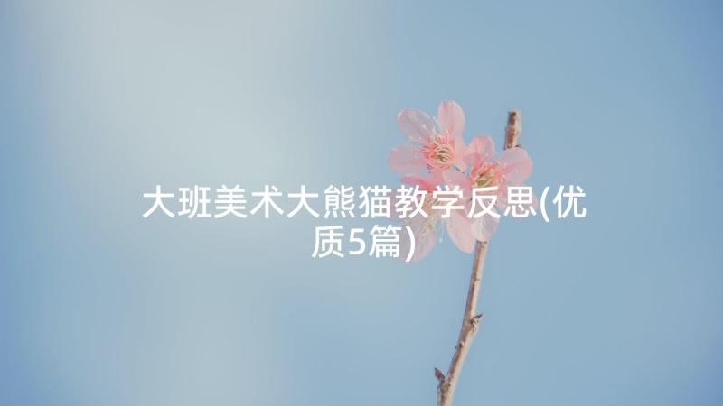 大班美术大熊猫教学反思(优质5篇)