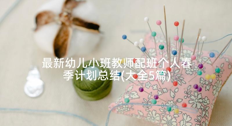 最新幼儿小班教师配班个人春季计划总结(大全5篇)