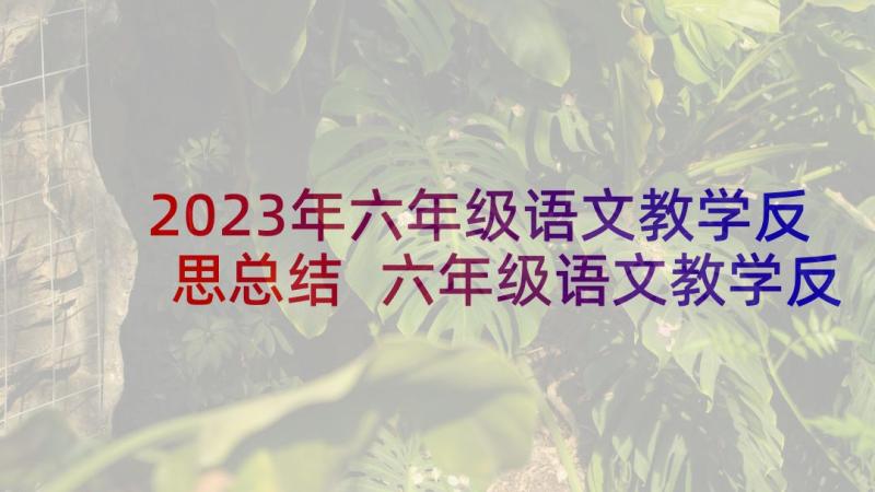 2023年六年级语文教学反思总结 六年级语文教学反思(模板9篇)