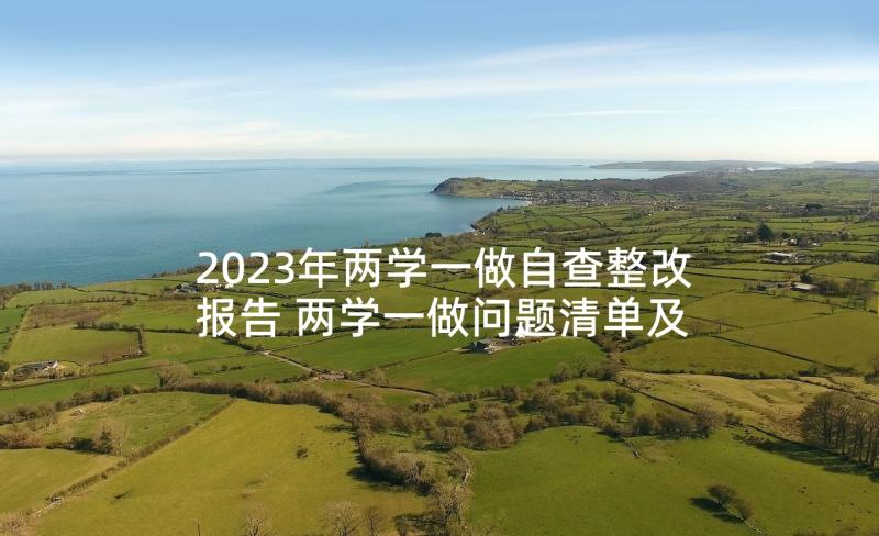 2023年两学一做自查整改报告 两学一做问题清单及整改措施(优秀5篇)