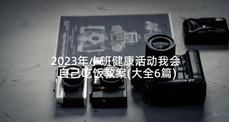 2023年小班健康活动我会自己吃饭教案(大全6篇)