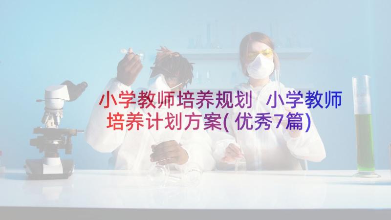 小学教师培养规划 小学教师培养计划方案(优秀7篇)