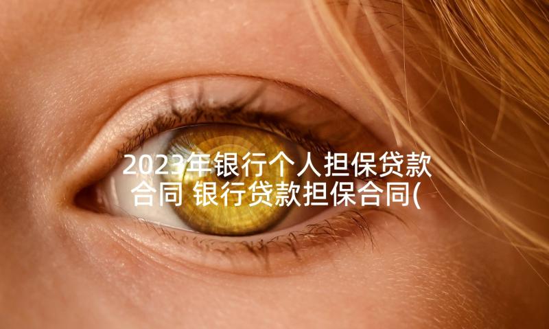 2023年银行个人担保贷款合同 银行贷款担保合同(模板9篇)