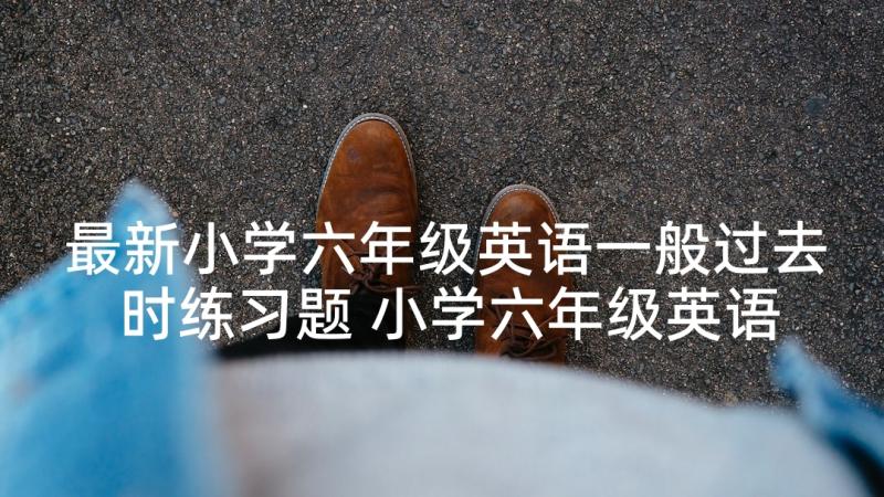 最新小学六年级英语一般过去时练习题 小学六年级英语教学计划(精选10篇)