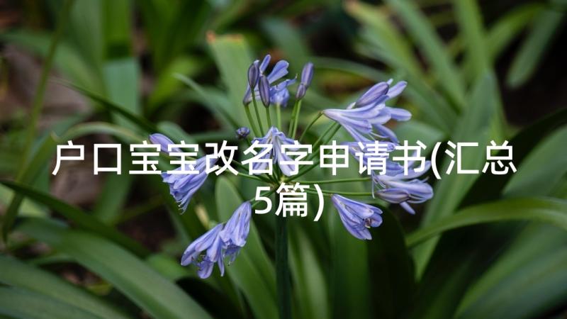 户口宝宝改名字申请书(汇总5篇)