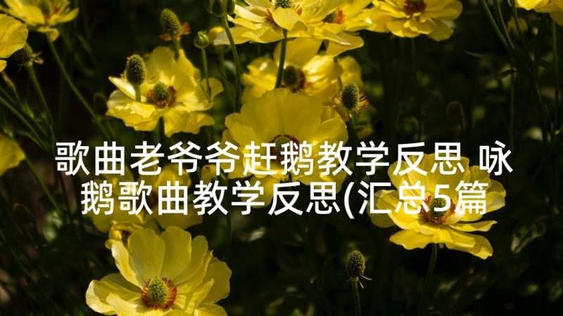 歌曲老爷爷赶鹅教学反思 咏鹅歌曲教学反思(汇总5篇)