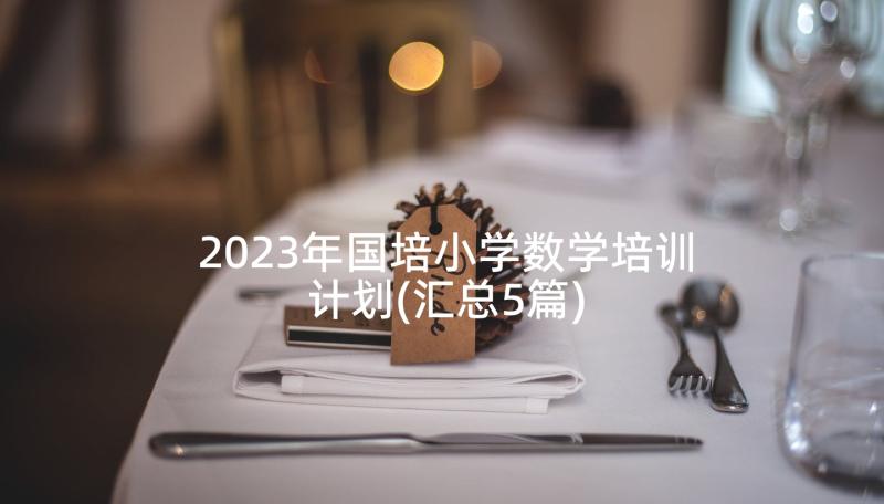 2023年国培小学数学培训计划(汇总5篇)