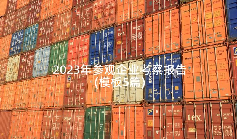 2023年参观企业考察报告(模板5篇)