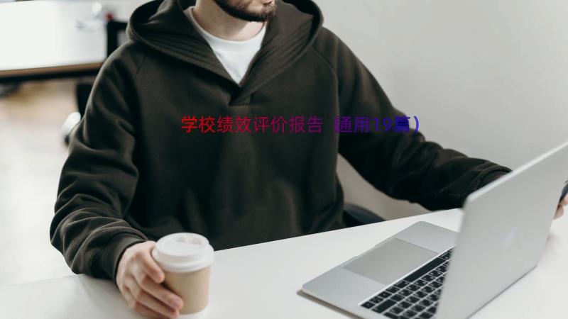 学校绩效评价报告（通用19篇）