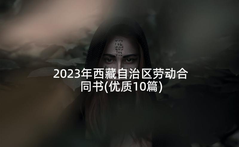 2023年西藏自治区劳动合同书(优质10篇)