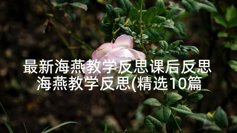 最新海燕教学反思课后反思 海燕教学反思(精选10篇)