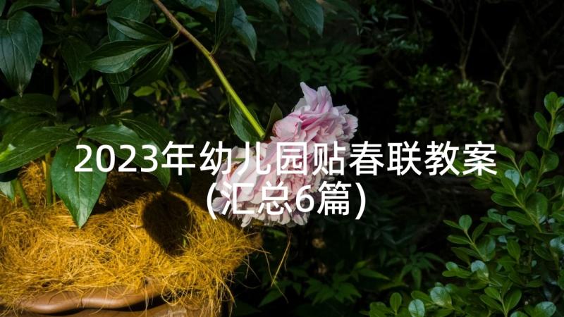 2023年幼儿园贴春联教案(汇总6篇)