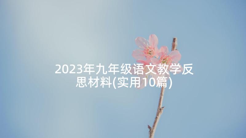 2023年九年级语文教学反思材料(实用10篇)