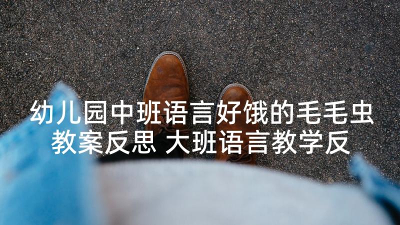 幼儿园中班语言好饿的毛毛虫教案反思 大班语言教学反思(实用10篇)