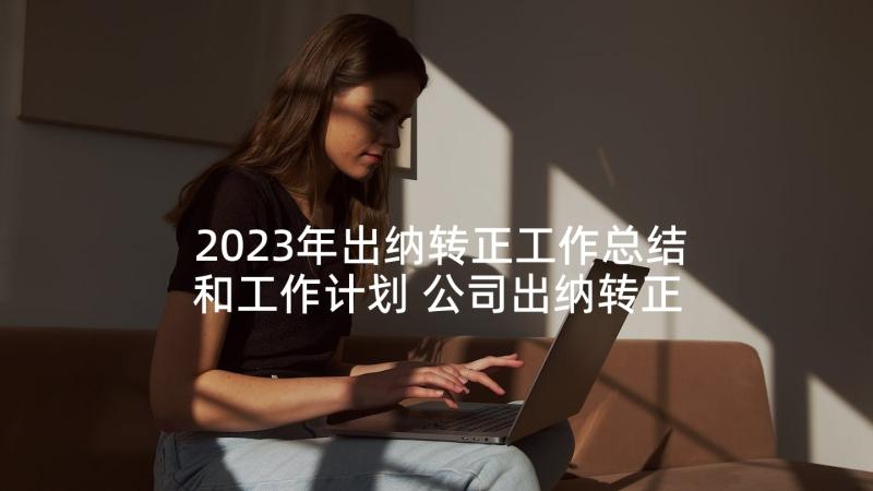 2023年出纳转正工作总结和工作计划 公司出纳转正个人工作总结(优质5篇)