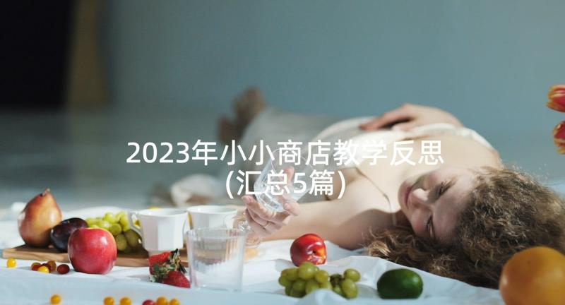 2023年小小商店教学反思(汇总5篇)