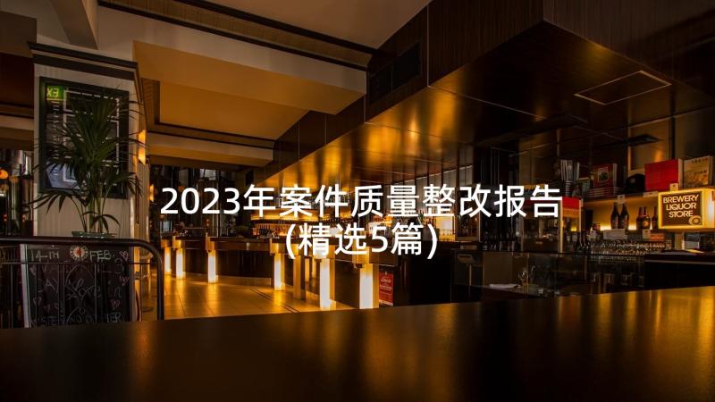 2023年案件质量整改报告(精选5篇)