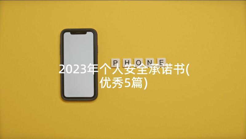 2023年个人安全承诺书(优秀5篇)