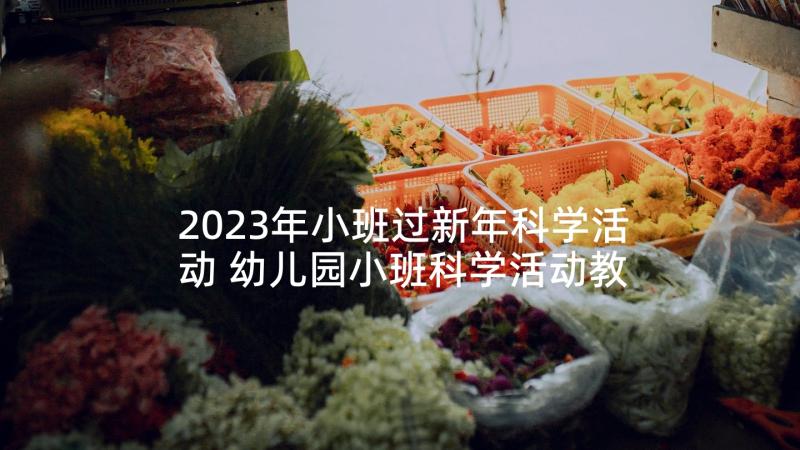 2023年小班过新年科学活动 幼儿园小班科学活动教案(大全9篇)