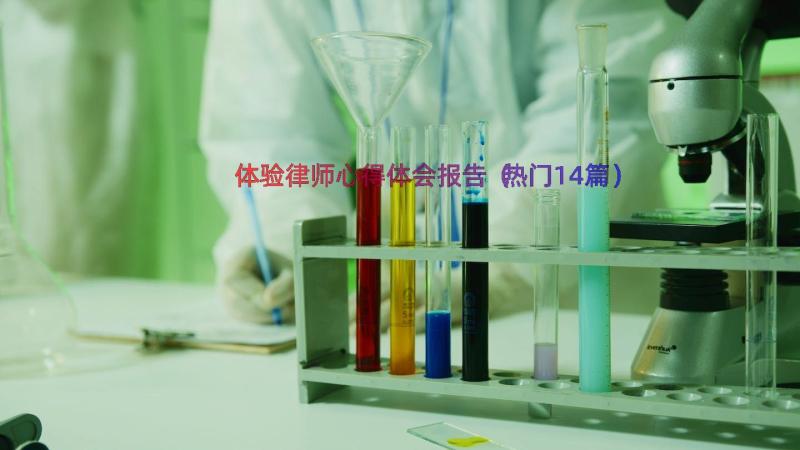 体验律师心得体会报告（热门14篇）