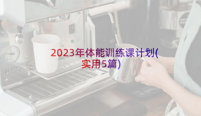 2023年体能训练课计划(实用5篇)