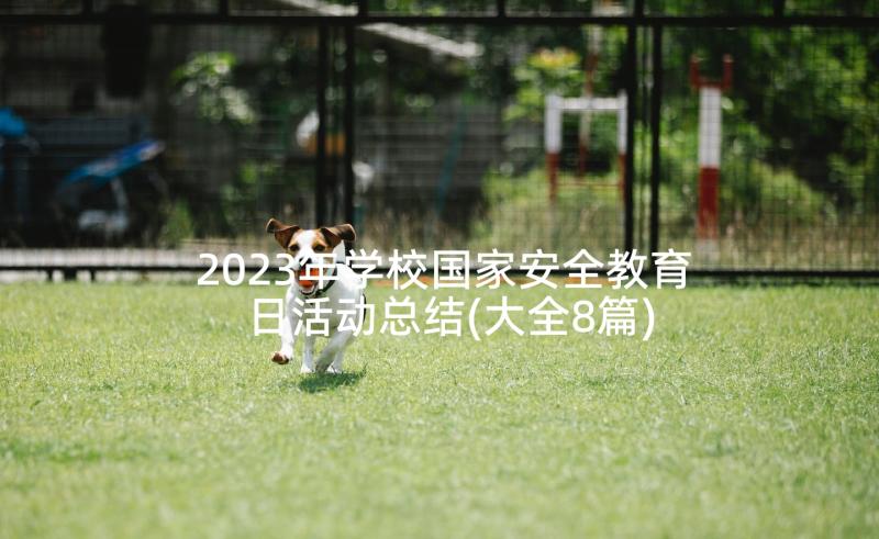 2023年学校国家安全教育日活动总结(大全8篇)