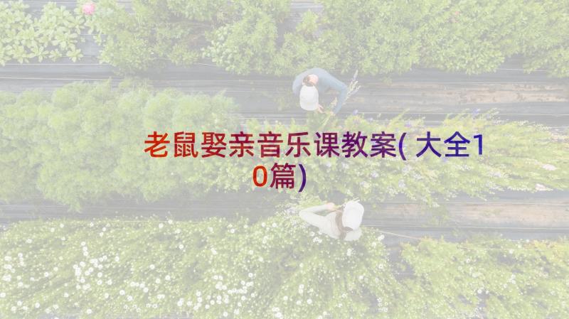 老鼠娶亲音乐课教案(大全10篇)