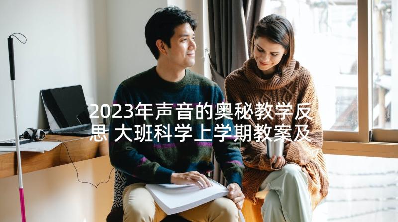 2023年声音的奥秘教学反思 大班科学上学期教案及教学反思声音的秘密(优秀5篇)