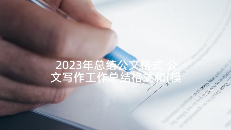 2023年总结公文格式 公文写作工作总结格式和(模板5篇)